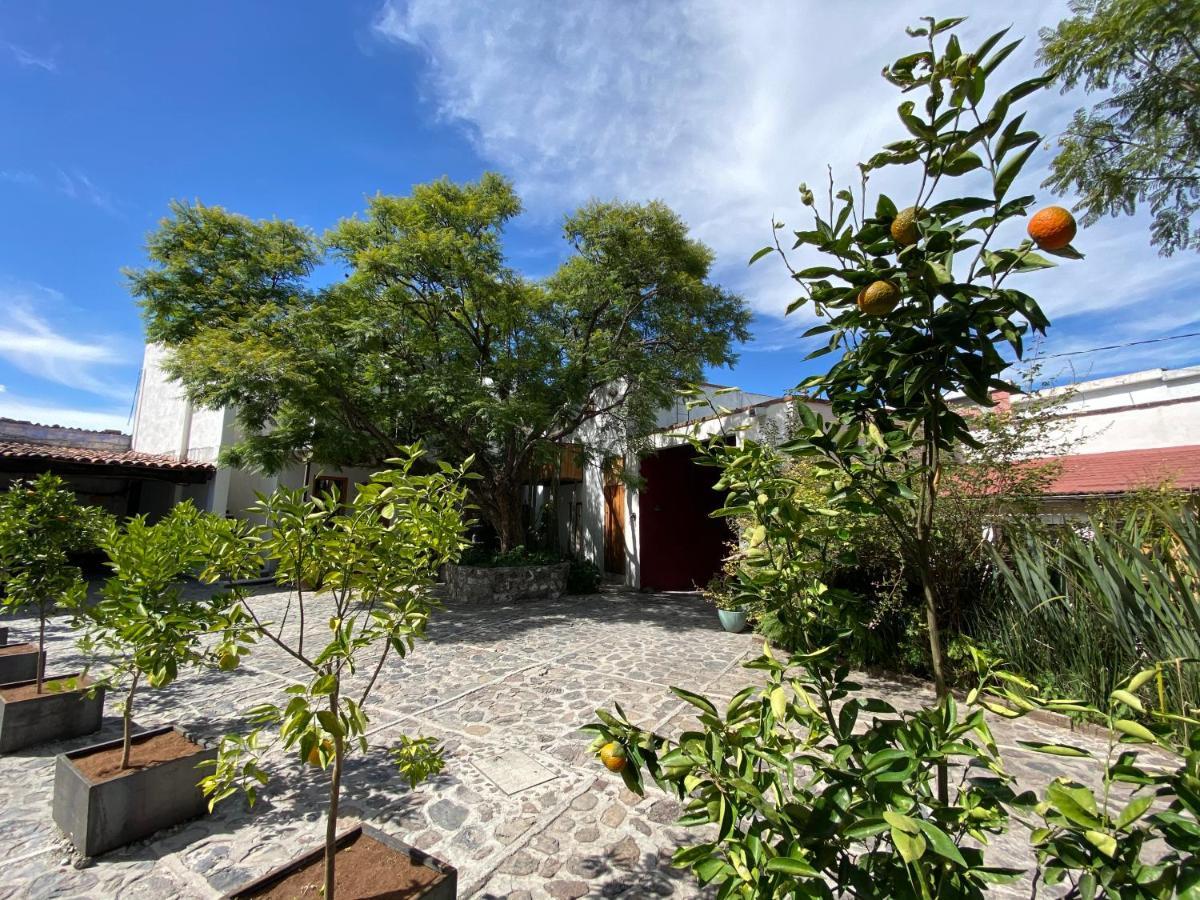 Posada Colibri - Hotel & Spa San Juan Teotihuacán Eksteriør bilde