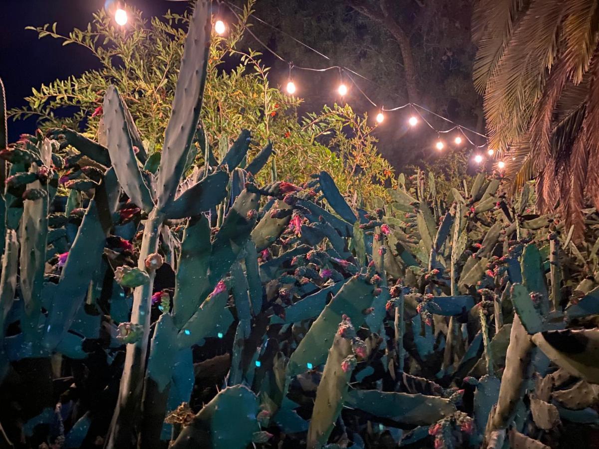 Posada Colibri - Hotel & Spa San Juan Teotihuacán Eksteriør bilde